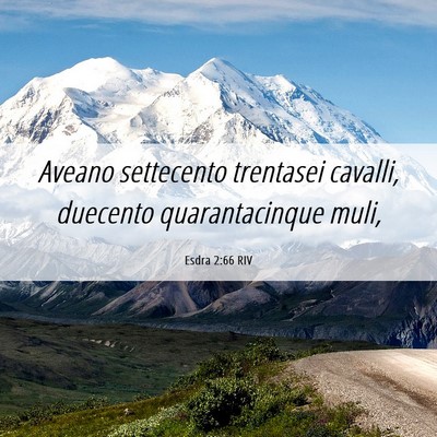 Picture 06 - Esdra 2:66 RIV - Aveano settecento trentasei cavalli, duecento - Bible Verse Picture