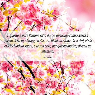Picture 06 - Esdra 6:11 RIV - E questo è pure l’ordine ch’io do: Se - Bible Verse Picture