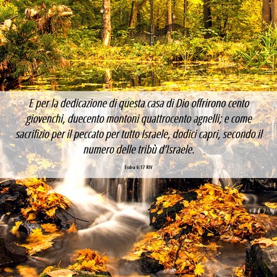 Picture 06 - Esdra 6:17 RIV - E per la dedicazione di questa casa di Dio - Bible Verse Picture