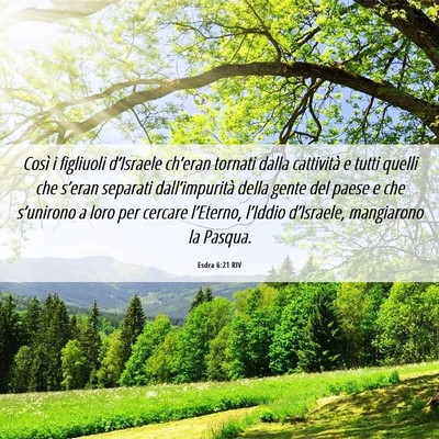 Picture 06 - Esdra 6:21 RIV - Così i figliuoli d’Israele ch’eran tornati - Bible Verse Picture