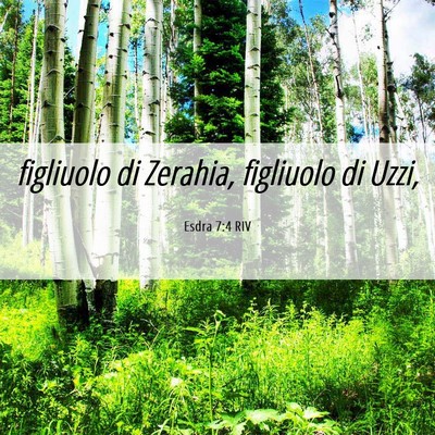 Picture 06 - Esdra 7:4 RIV - figliuolo di Zerahia, figliuolo di - Bible Verse Picture