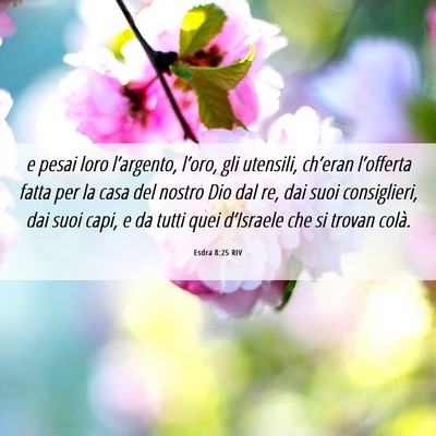 Picture 06 - Esdra 8:25 RIV - e pesai loro l’argento, l’oro, gli utensili, - Bible Verse Picture