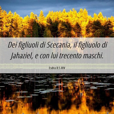 Picture 06 - Esdra 8:5 RIV - Dei figliuoli di Scecania, il figliuolo di - Bible Verse Picture