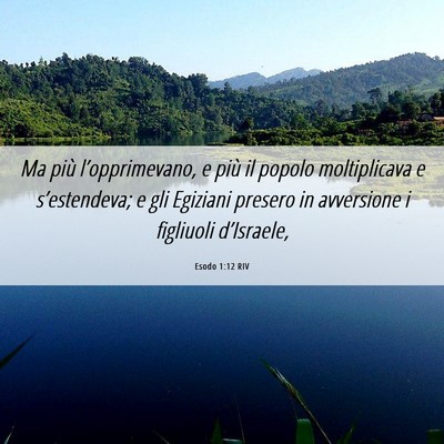 Picture 06 - Esodo 1:12 RIV - Ma più l’opprimevano, e più il popolo - Bible Verse Picture