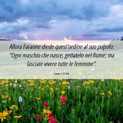 Picture 06 - Esodo 1:22 RIV - Allora Faraone diede quest’ordine al suo - Bible Verse Picture