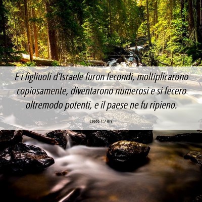 Picture 06 - Esodo 1:7 RIV - E i figliuoli d’Israele furon fecondi, - Bible Verse Picture