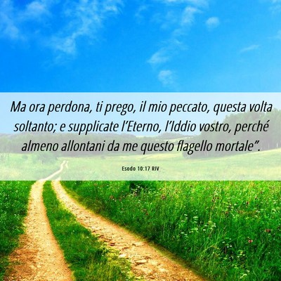 Picture 06 - Esodo 10:17 RIV - Ma ora perdona, ti prego, il mio peccato, questa - Bible Verse Picture