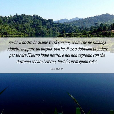 Picture 06 - Esodo 10:26 RIV - Anche il nostro bestiame verrà con noi, senza - Bible Verse Picture