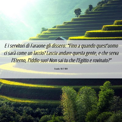 Picture 06 - Esodo 10:7 RIV - E i servitori di Faraone gli dissero: “Fino a - Bible Verse Picture
