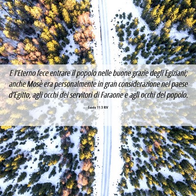 Picture 06 - Esodo 11:3 RIV - E l’Eterno fece entrare il popolo nelle buone - Bible Verse Picture