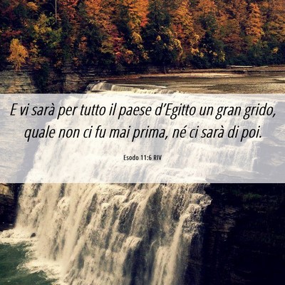 Picture 06 - Esodo 11:6 RIV - E vi sarà per tutto il paese d’Egitto un gran - Bible Verse Picture