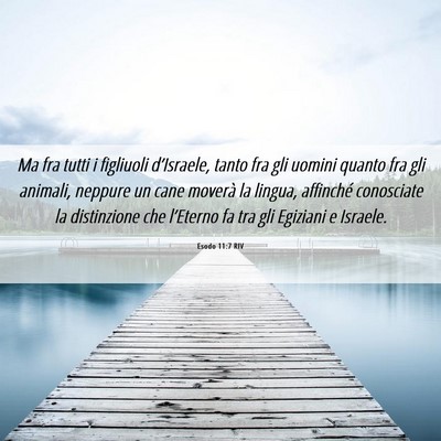 Picture 06 - Esodo 11:7 RIV - Ma fra tutti i figliuoli d’Israele, tanto fra - Bible Verse Picture