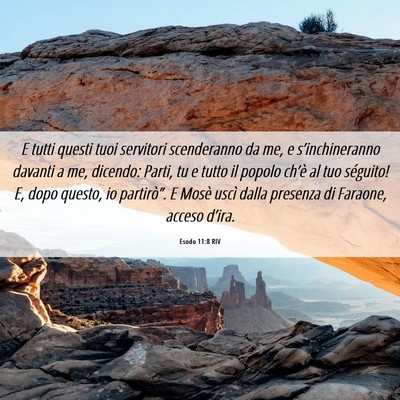 Picture 06 - Esodo 11:8 RIV - E tutti questi tuoi servitori scenderanno da me, - Bible Verse Picture