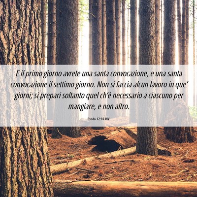 Picture 06 - Esodo 12:16 RIV - E il primo giorno avrete una santa convocazione, - Bible Verse Picture