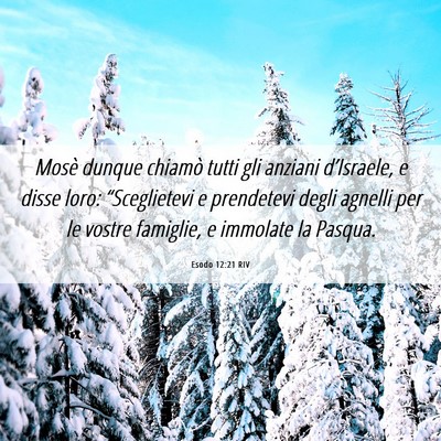 Picture 06 - Esodo 12:21 RIV - Mosè dunque chiamò tutti gli anziani - Bible Verse Picture