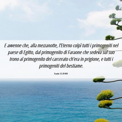 Picture 06 - Esodo 12:29 RIV - E avvenne che, alla mezzanotte, l’Eterno colpì - Bible Verse Picture