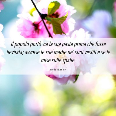 Picture 06 - Esodo 12:34 RIV - Il popolo portò via la sua pasta prima che fosse - Bible Verse Picture