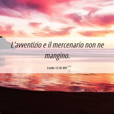 Picture 06 - Esodo 12:45 RIV - L’avventizio e il mercenario non ne - Bible Verse Picture