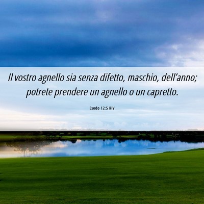 Picture 06 - Esodo 12:5 RIV - Il vostro agnello sia senza difetto, maschio, - Bible Verse Picture