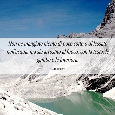 Picture 06 - Esodo 12:9 RIV - Non ne mangiate niente di poco cotto o di lessato - Bible Verse Picture