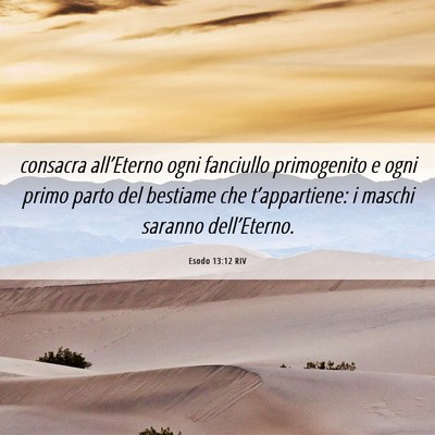 Picture 06 - Esodo 13:12 RIV - consacra all’Eterno ogni fanciullo primogenito - Bible Verse Picture
