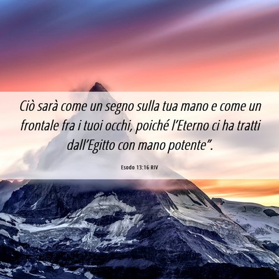 Picture 06 - Esodo 13:16 RIV - Ciò sarà come un segno sulla tua mano e come un - Bible Verse Picture