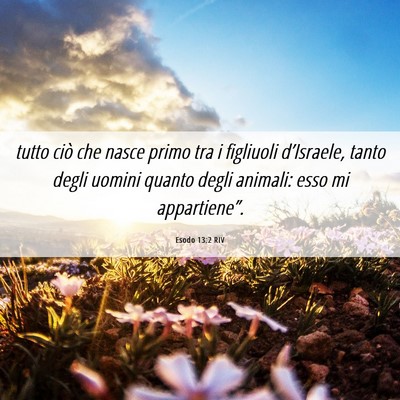 Picture 06 - Esodo 13:2 RIV - tutto ciò che nasce primo tra i figliuoli - Bible Verse Picture