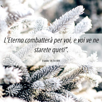 Picture 06 - Esodo 14:14 RIV - L’Eterno combatterà per voi, e voi ve ne - Bible Verse Picture