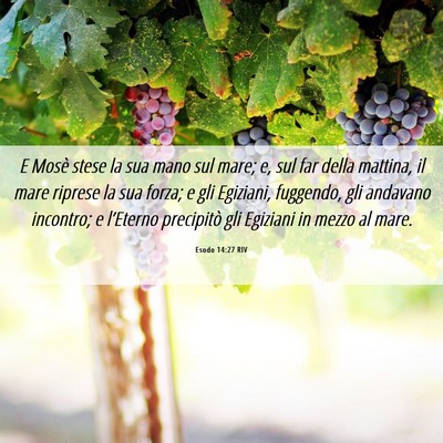 Picture 06 - Esodo 14:27 RIV - E Mosè stese la sua mano sul mare; e, sul far - Bible Verse Picture