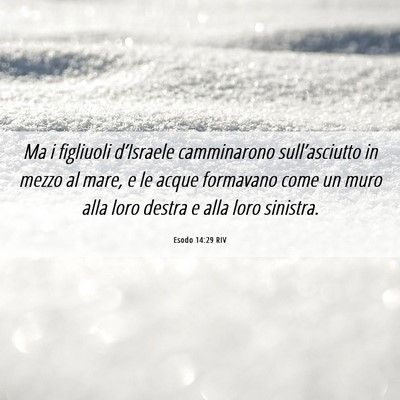 Picture 06 - Esodo 14:29 RIV - Ma i figliuoli d’Israele camminarono - Bible Verse Picture