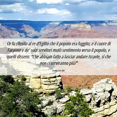 Picture 06 - Esodo 14:5 RIV - Or fu riferito al re d’Egitto che il popolo era - Bible Verse Picture