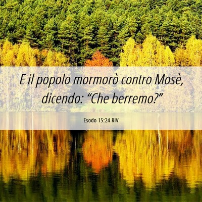 Picture 06 - Esodo 15:24 RIV - E il popolo mormorò contro Mosè, dicendo: - Bible Verse Picture