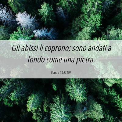 Picture 06 - Esodo 15:5 RIV - Gli abissi li coprono; sono andati a fondo come - Bible Verse Picture