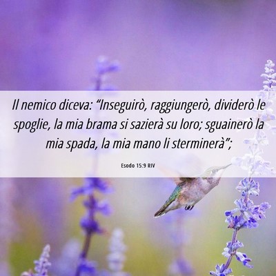 Picture 06 - Esodo 15:9 RIV - Il nemico diceva: “Inseguirò, raggiungerò, - Bible Verse Picture