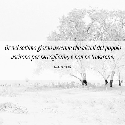 Picture 06 - Esodo 16:27 RIV - Or nel settimo giorno avvenne che alcuni del - Bible Verse Picture