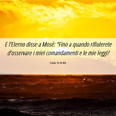 Picture 06 - Esodo 16:28 RIV - E l’Eterno disse a Mosè: “Fino a quando - Bible Verse Picture