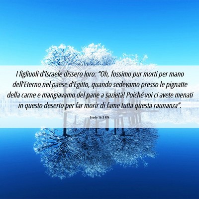 Picture 06 - Esodo 16:3 RIV - I figliuoli d’Israele dissero loro: “Oh, - Bible Verse Picture