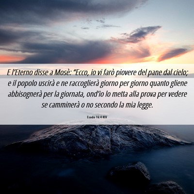 Picture 06 - Esodo 16:4 RIV - E l’Eterno disse a Mosè: “Ecco, io vi farò - Bible Verse Picture