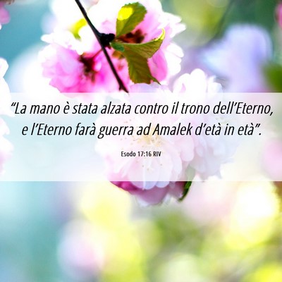 Picture 06 - Esodo 17:16 RIV - “La mano è stata alzata contro il trono - Bible Verse Picture
