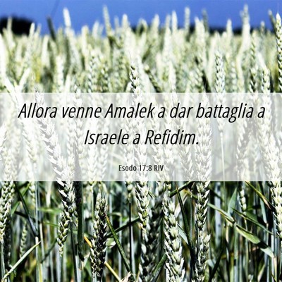 Picture 06 - Esodo 17:8 RIV - Allora venne Amalek a dar battaglia a Israele a - Bible Verse Picture