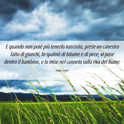Picture 06 - Esodo 2:3 RIV - E quando non poté più tenerlo nascosto, prese - Bible Verse Picture