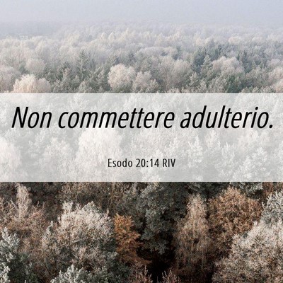 Picture 06 - Esodo 20:14 RIV - Non commettere - Bible Verse Picture