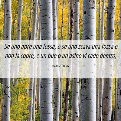 Picture 06 - Esodo 21:33 RIV - Se uno apre una fossa, o se uno scava una fossa e - Bible Verse Picture