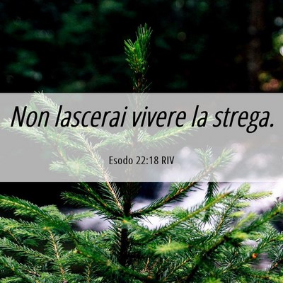 Picture 06 - Esodo 22:18 RIV - Non lascerai vivere la - Bible Verse Picture