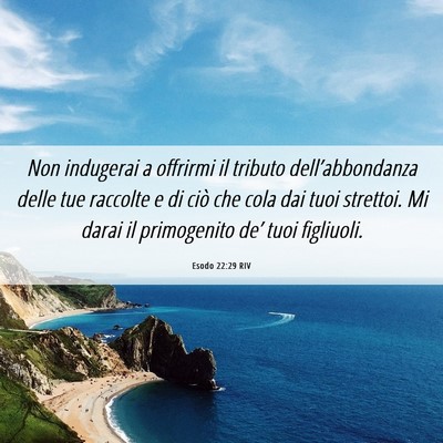 Picture 06 - Esodo 22:29 RIV - Non indugerai a offrirmi il tributo - Bible Verse Picture
