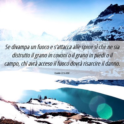 Picture 06 - Esodo 22:6 RIV - Se divampa un fuoco e s’attacca alle spine sì - Bible Verse Picture