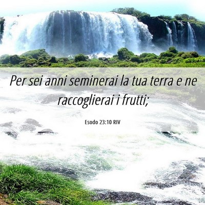 Picture 06 - Esodo 23:10 RIV - Per sei anni seminerai la tua terra e ne - Bible Verse Picture