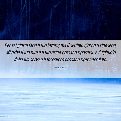 Picture 06 - Esodo 23:12 RIV - Per sei giorni farai il tuo lavoro; ma il settimo - Bible Verse Picture