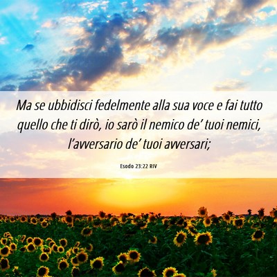 Picture 06 - Esodo 23:22 RIV - Ma se ubbidisci fedelmente alla sua voce e fai - Bible Verse Picture