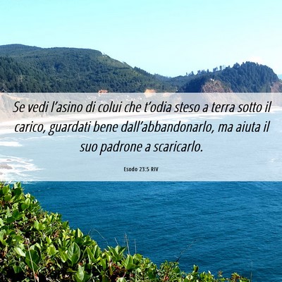 Picture 06 - Esodo 23:5 RIV - Se vedi l’asino di colui che t’odia steso a - Bible Verse Picture